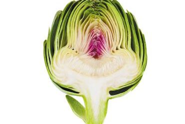 What a Poem and an Artichoke Have in Common