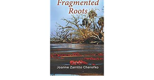 Why Fragmented Roots?